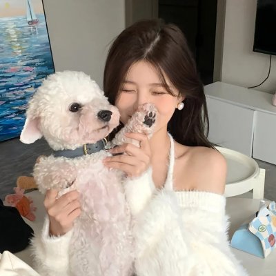 关于灰鸽子的歌